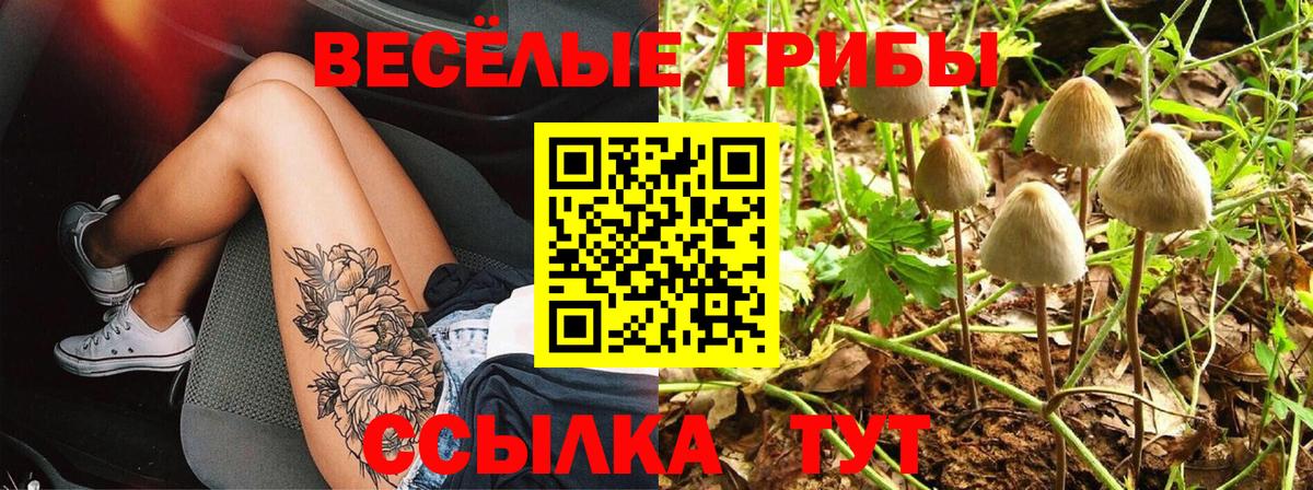 Галлюциногенные грибы GOLDEN TEACHER Кандалакша
